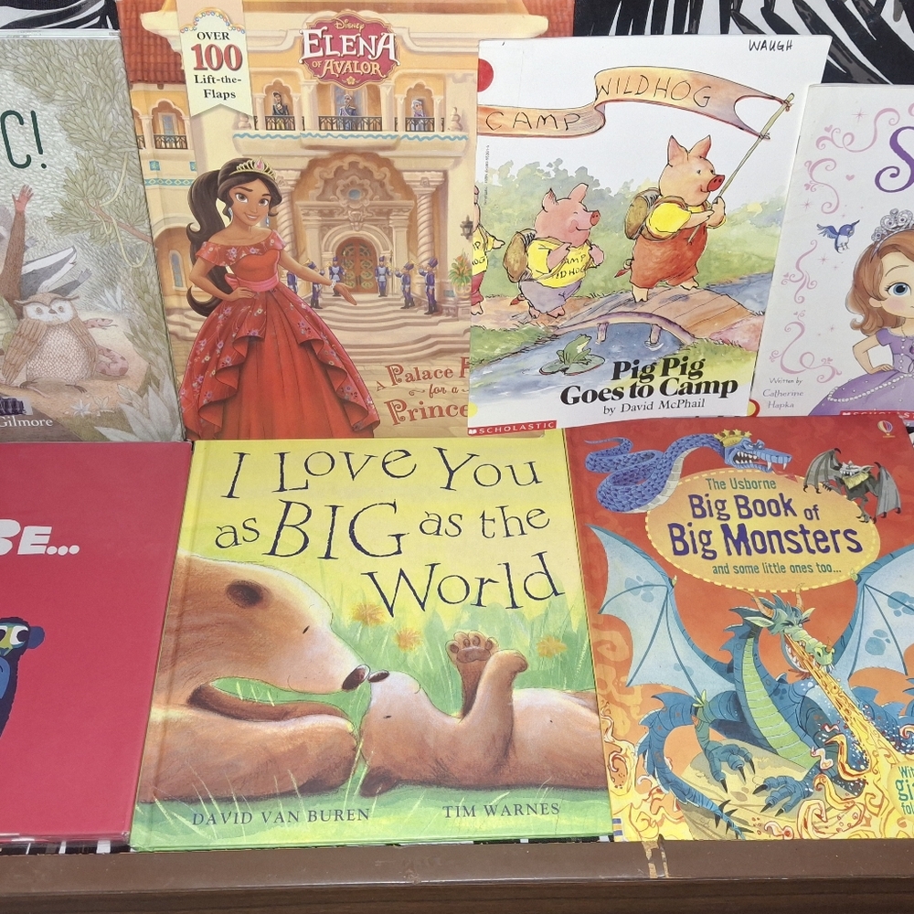 Disney Elena of Avalor Lift-the-Flap Book – Red and Gold Dress And Many MoBooks